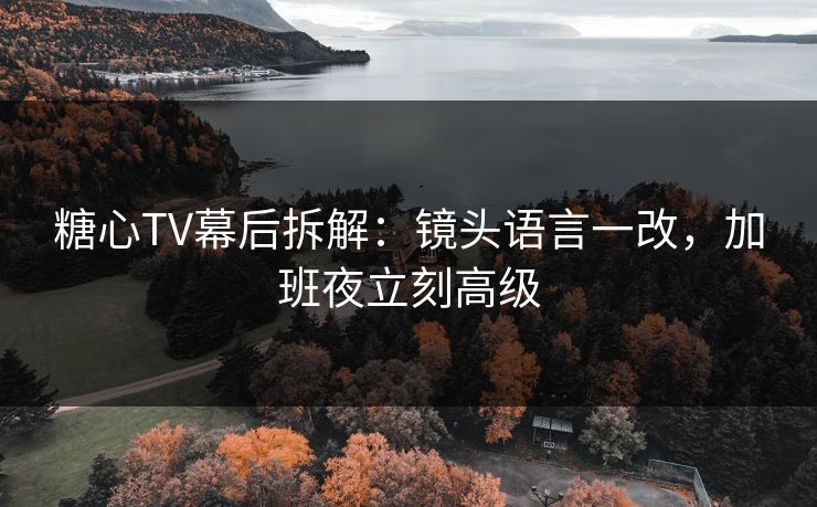 糖心TV幕后拆解：镜头语言一改，加班夜立刻高级